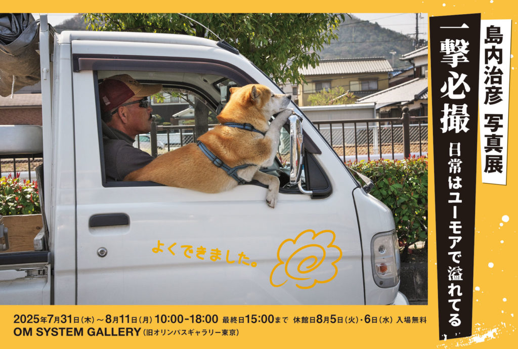 島内治彦 写真展「一撃必撮 日常はユーモアで溢れてる」のDM
