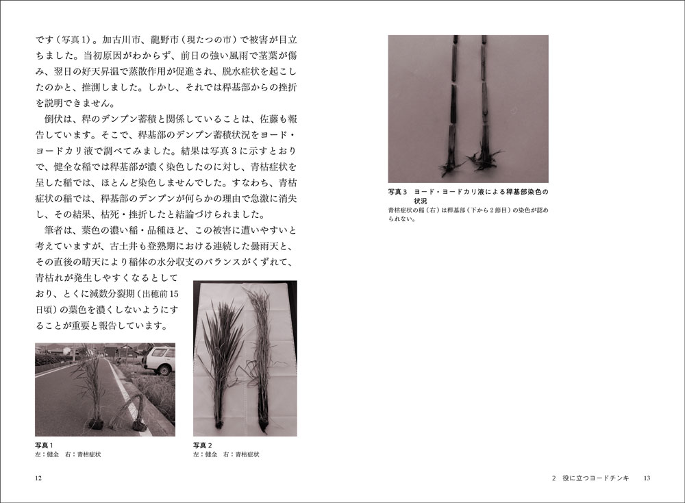 『増補 稲麦雑記 役に立つ稲麦の話』p.12-13