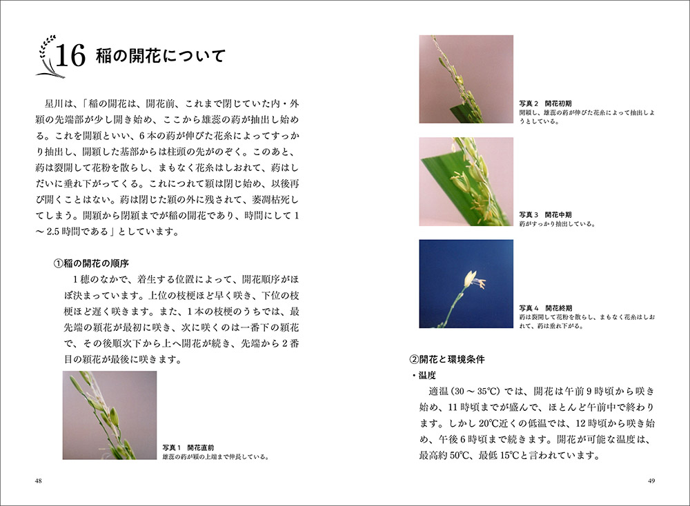 『増補 稲麦雑記 役に立つ稲麦の話』p.48-49