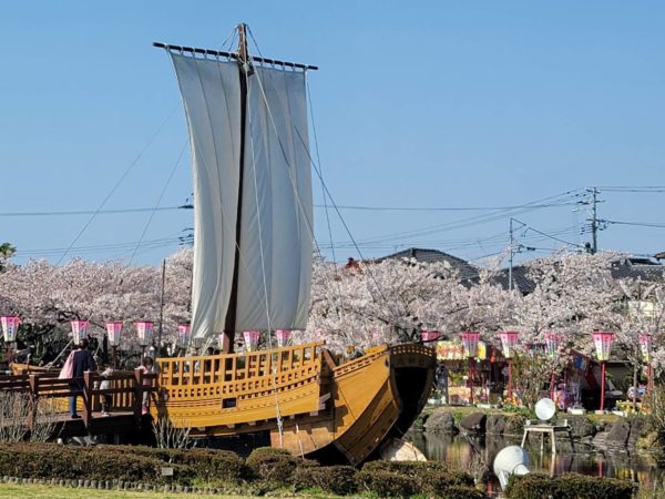 日和山公園の千石船　桜