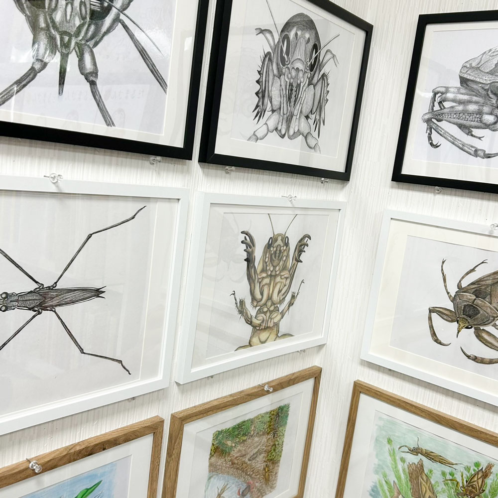 流泉書房さんでの、むっしっし原画展で展示されている原画。